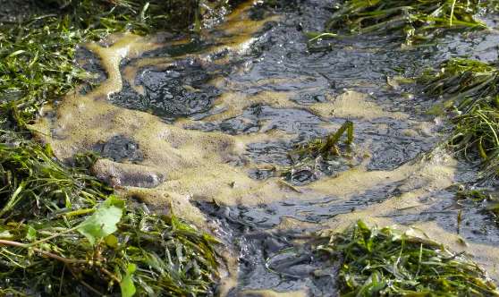 內(nèi)源污染和外源污染分別是什么意思(內(nèi)源污染指的是什么) 內(nèi)源污染和外源污染分別是什么意思(內(nèi)源污染指的是什么)