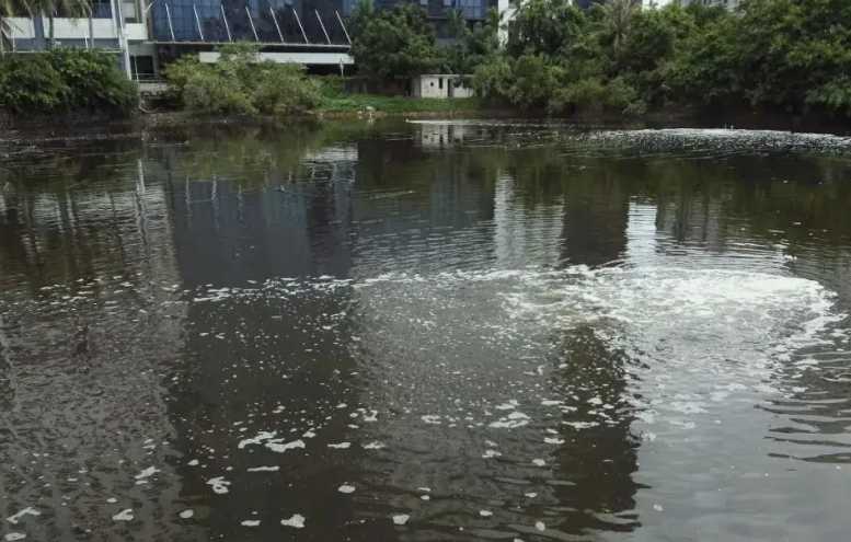城市黑臭水體定義(城市黑臭水體的判定標(biāo)準(zhǔn)) 城市黑臭水體定義(城市黑臭水體的判定標(biāo)準(zhǔn))