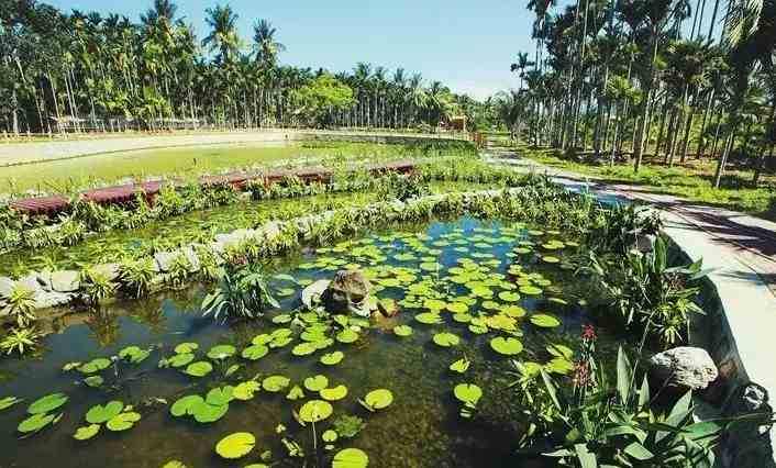 人工濕地設(shè)計(jì)規(guī)范說明書(人工濕地設(shè)計(jì)方案詳細(xì)介紹) 人工濕地設(shè)計(jì)規(guī)范說明書(人工濕地設(shè)計(jì)方案詳細(xì)介紹)