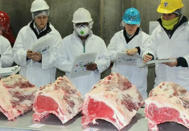 屠宰污水處理設備名詞解釋(附原理及用途) 屠宰污水處理設備名詞解釋(附原理及用途)