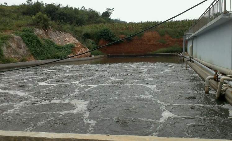 養(yǎng)殖場(chǎng)廢水處理工藝有哪些?(養(yǎng)殖污水便宜處理方法) 養(yǎng)殖場(chǎng)廢水處理工藝有哪些?(養(yǎng)殖污水便宜處理方法)