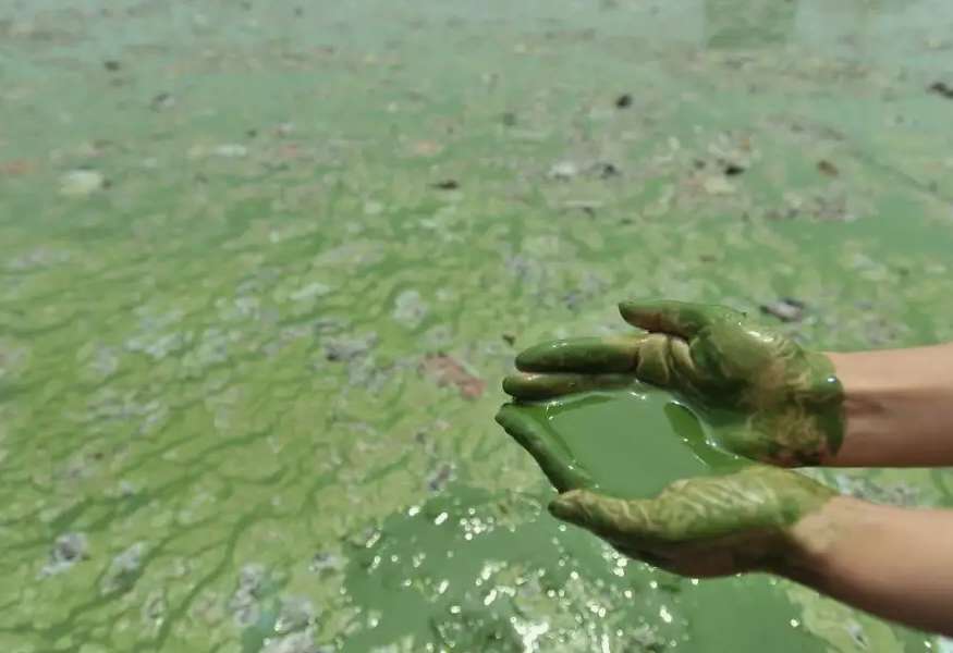 目前存在哪些水污染問題(水污染的原因及危害) 目前存在哪些水污染問題(水污染的原因及危害)