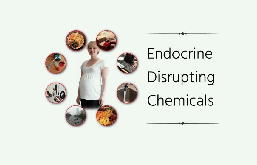 常見的內分泌干擾物有哪些(內分泌干擾物的危害有) 常見的內分泌干擾物有哪些(內分泌干擾物的危害有)