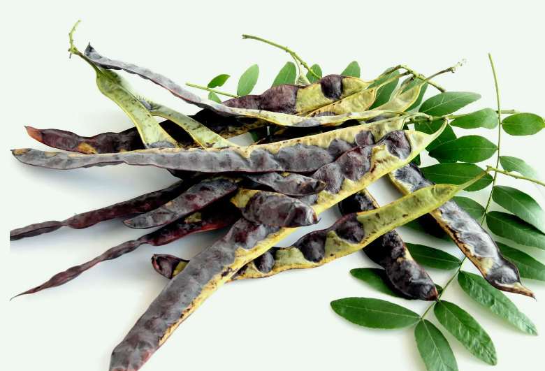 皂腳和皂角的區別是什么(皂腳和皂角一樣嗎?) 皂腳和皂角的區別是什么(皂腳和皂角一樣嗎?)