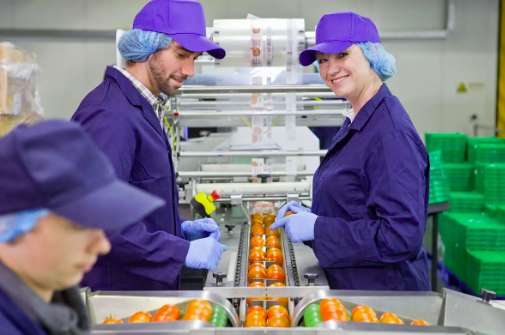 專業食品加工污水處理設備生產廠家分享(食品污水處理方法) 專業食品加工污水處理設備生產廠家分享(食品污水處理方法)